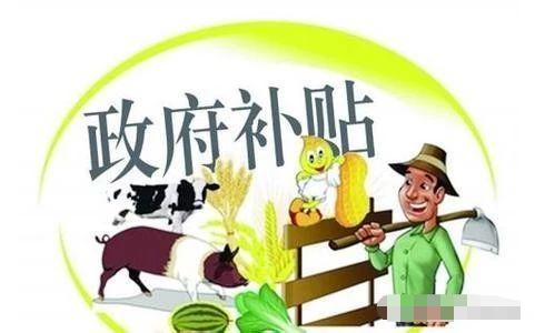 2019年深圳市积分入户政策：入户有哪些补贴?